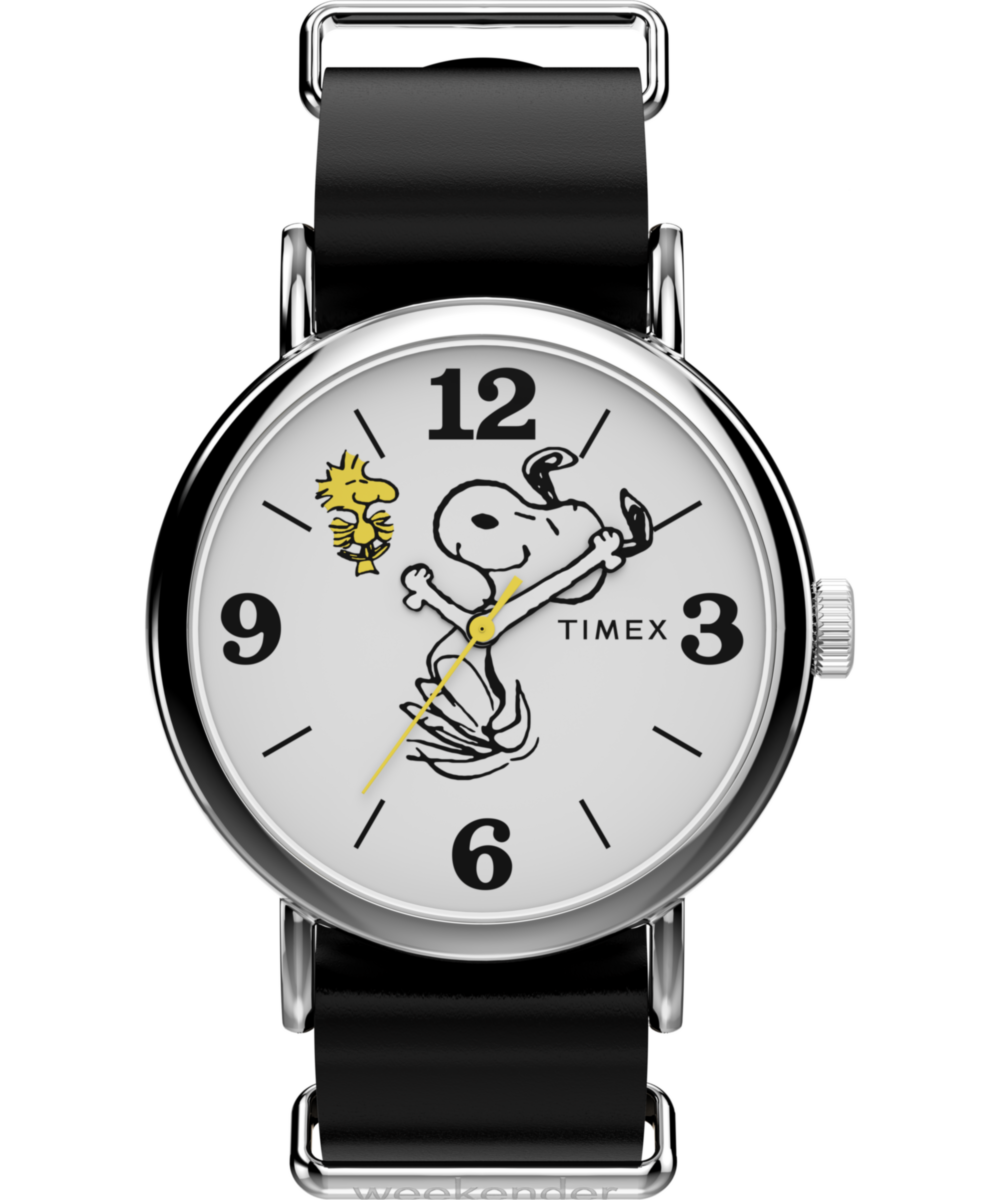 TIMEX TW2Y60900UK
