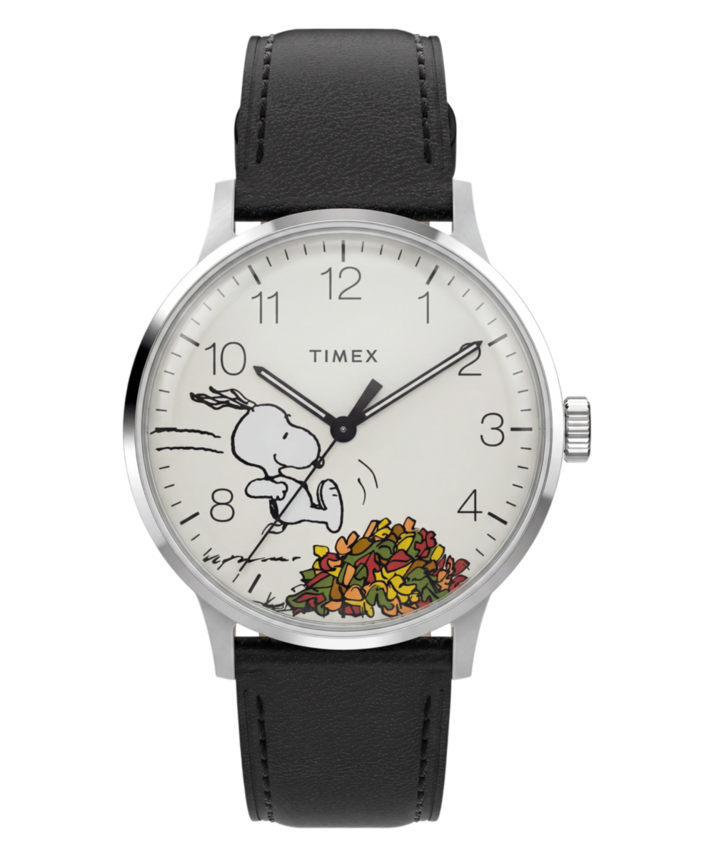 TIMEX TW2Y85600UK